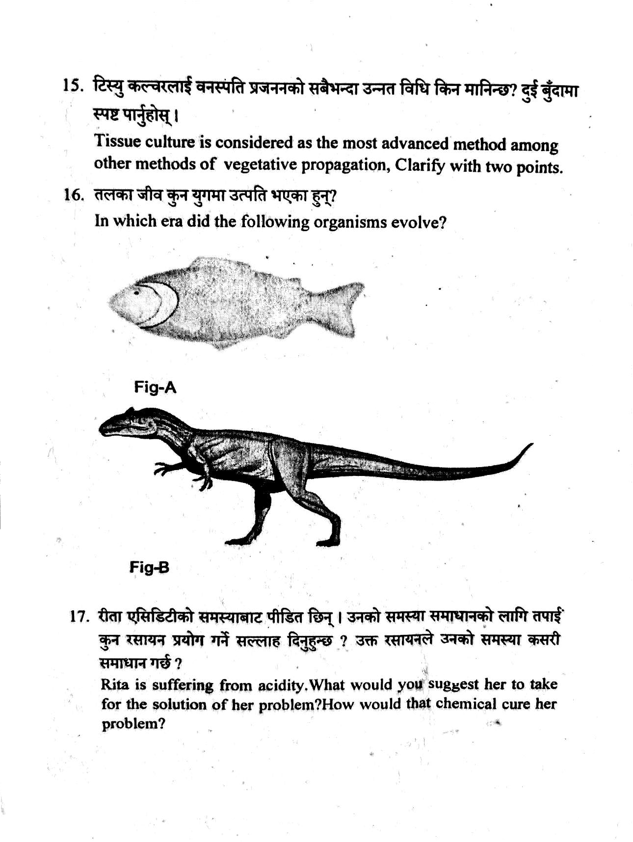 BLE(Grade-8) Science Papers 2082 | Kathmandu Metropolitan City
